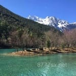 Avatar of Hina Tariq